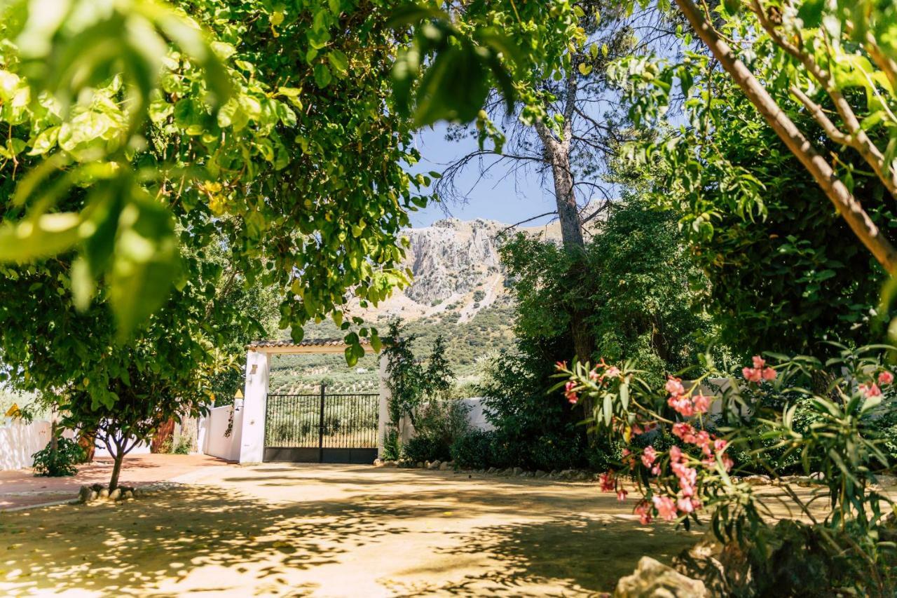 הוילה Priego de Córdoba Cortijo Abril מראה חיצוני תמונה